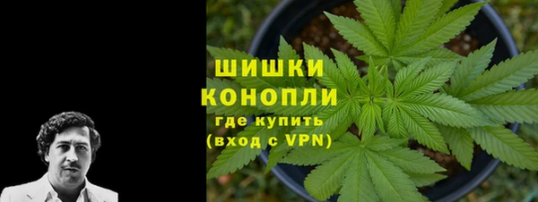 ГАЛЛЮЦИНОГЕННЫЕ ГРИБЫ Аркадак