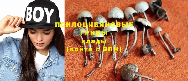 spice Армянск