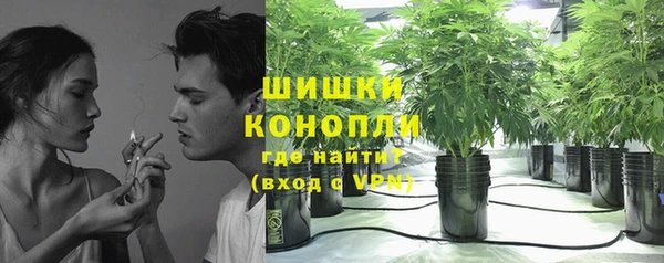 гашик Арсеньев