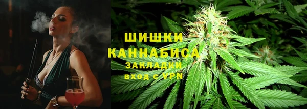 гашик Арсеньев