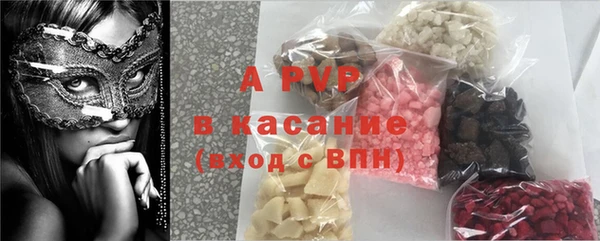 ГАЛЛЮЦИНОГЕННЫЕ ГРИБЫ Аркадак
